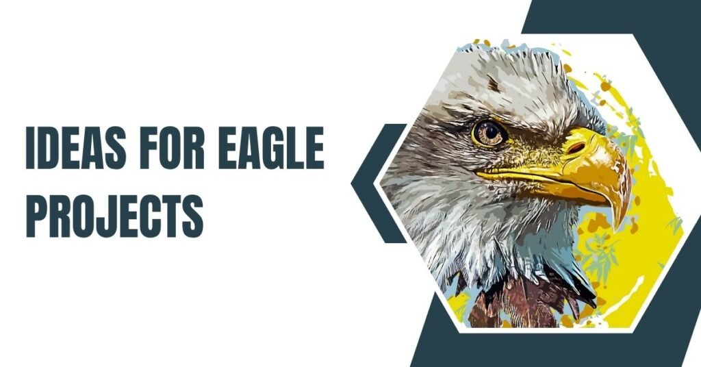 Ideas for Eagle Projects