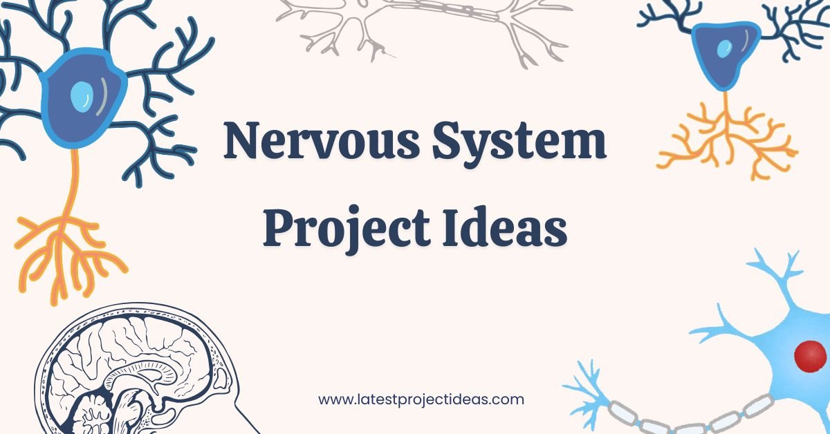 Nervous System Project Ideas