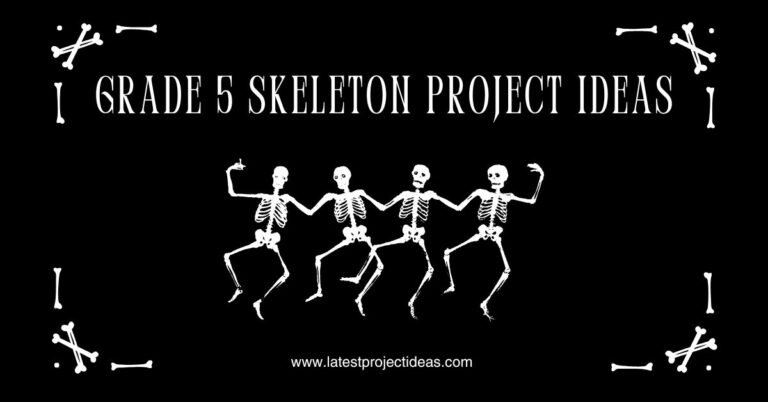 Science Project Sceleton 50+ Grade 5 Skeleton Project Ideas for Easy Science Learning