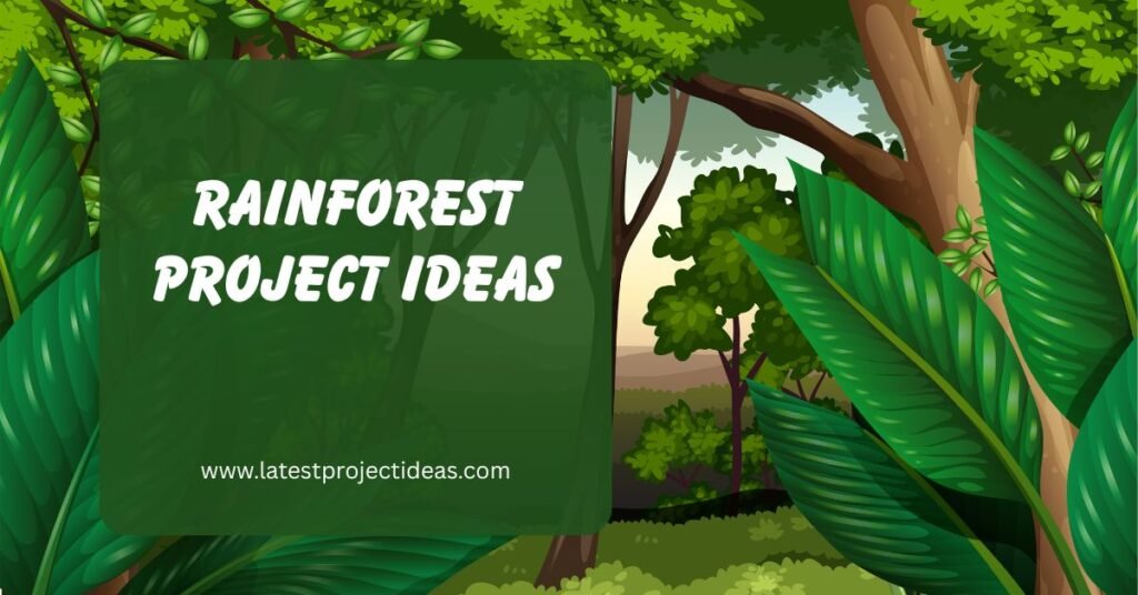 Rainforest Project Ideas